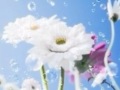Bheega Hai Mausam Full Song HD Kaise Kaise Rishte