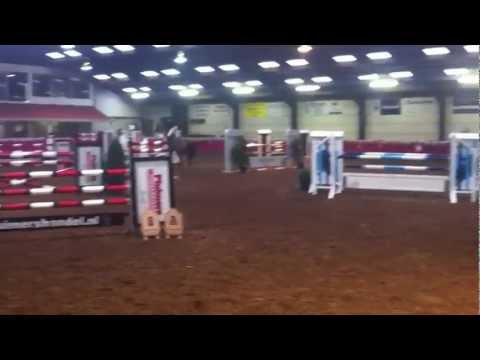 Amore RZ Tampa x Calvados bruine ruin 2005