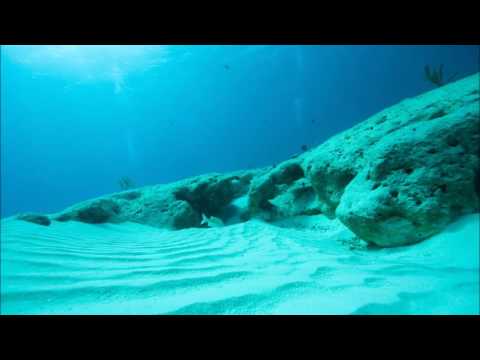 Escenda – Out Of Moves Dear Deer promo