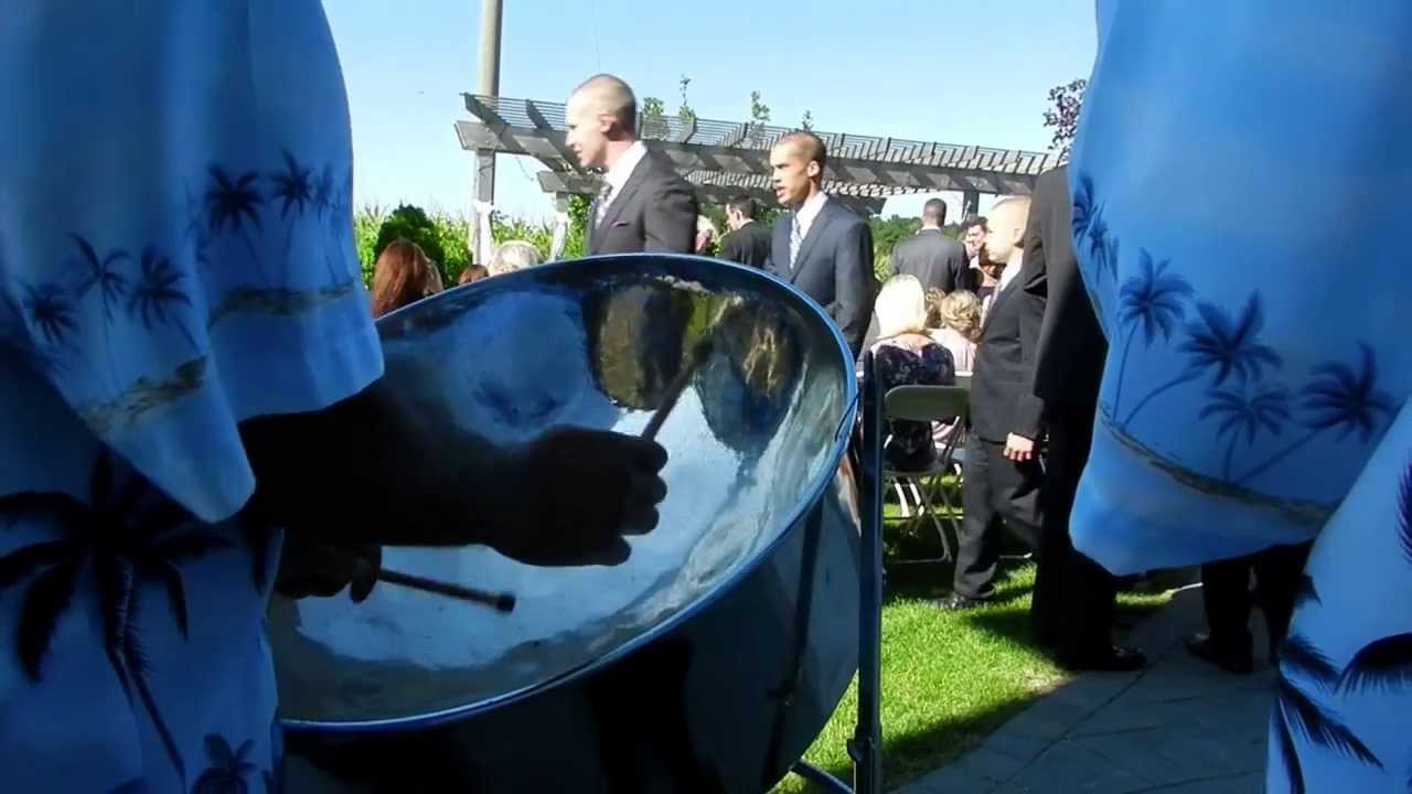 Hire Steeldrum Hu Steel Drum Player in Barrie, Ontario