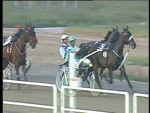 Trotto 24/06/2017 - 2ª corsa