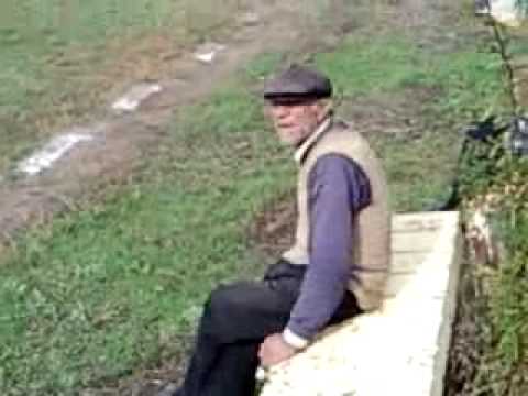 GOLU LU TUDOR vladimirescu