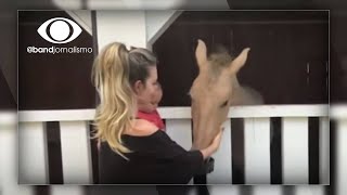 Miniatura do vídeo