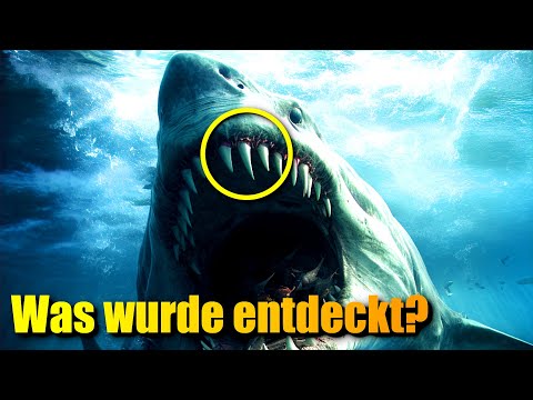 Video Thumbnail: Forscher haben etwas ENTSCHEIDENDES über Megalodon herausgefunden!