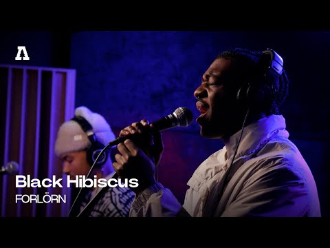 Black Hibiscus - FORLÖRN | Audiotree Live