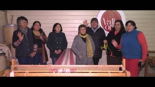 Valle Oro, la cooperativa de tejedoras de Millahue