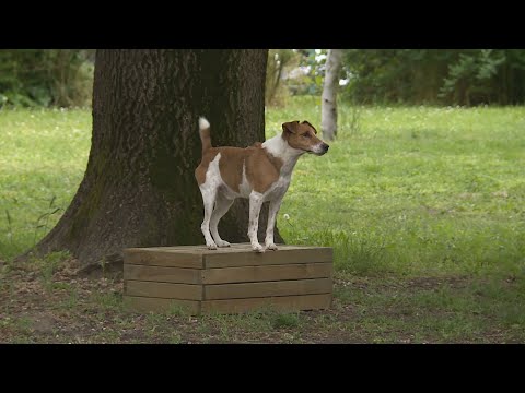 Budai Híradó 2023. október 9.