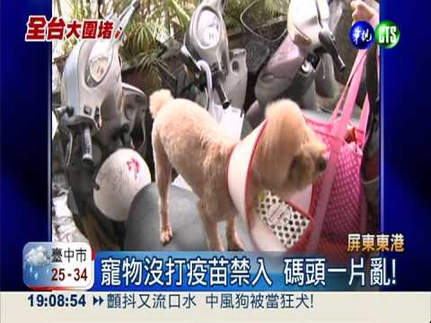 打疫苗沒證明 人狗回不了小琉球