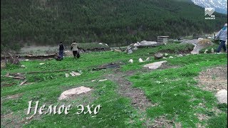 Немое эхо (18.05.2018)