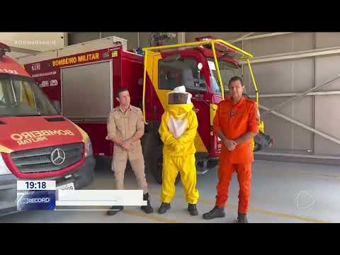 Homem picado por centenas de abelhas recebe alta