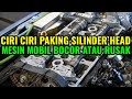 CHARACTERISTICS OF A LEAKING OR DAMAGED CAR ENGINE CYLINDER HEAD GASKET I CAUSES OF CAR OVERHEAT