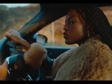 Vibez Inc x Seyi Vibez x Tion Wayne - Ogo (Official Video)