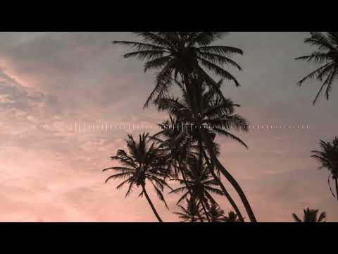 WELLZ - FAVOURITE SONG (ZOUK REMIX) 2023