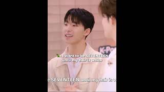 Hoshi already has white hair 😂🐯 #seventeen #dino #hoshi #kpop #svt #carat #foryou