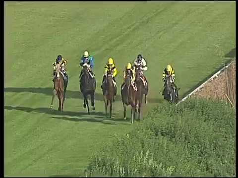 Galoppo 03/11/2016 - 1ª corsa