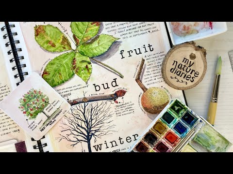 Beginner Watercolor Painting Tips for Trees in your Nature Journal