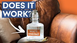 6 Quick, Easy Ways to Remove Bad Smells from Leather | How to remove bad odor from leather Sofa
