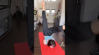 童貞の誘い方を分かっていらっしゃる、、 #tiktok #shorts #short