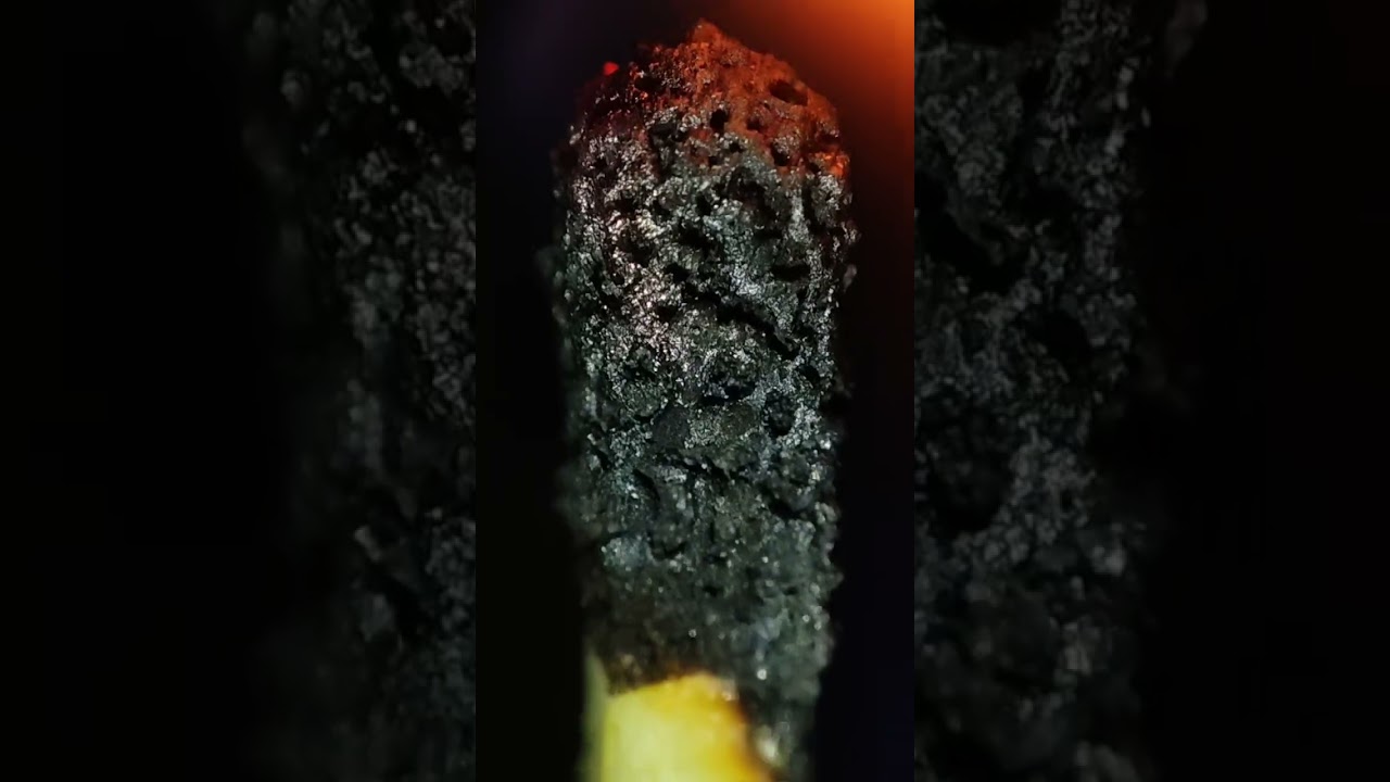 # day focus in tha object #macro #macromood #creative #