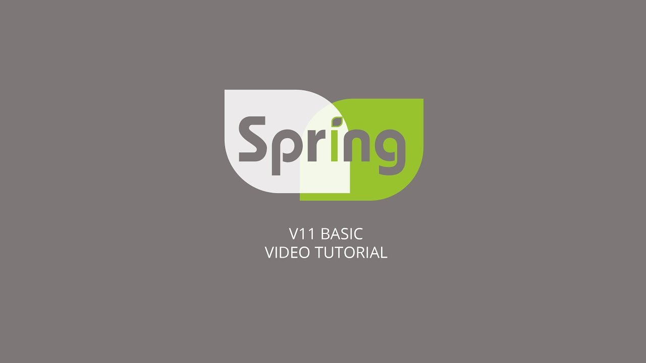 Spring (Europe) LTD - V11 Basic Pump Controller Video Manual