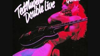 Ted Nugent - Motor City Madhouse