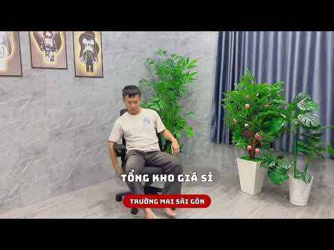 Ghế Xoay Văn Phòng Lưng Chiếc Lá tay Gập - GX74