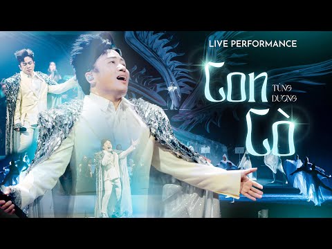 CON CÒ (Opening Show) - TÙNG DƯƠNG | Liveshow Người Đàn Ông Hát