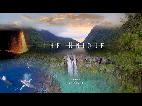 The Unique - Reunion Island