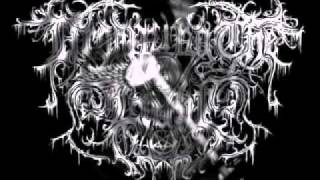 Music video thumbnail preview for Drowning the Light - Chapter I by Drowning the Light
