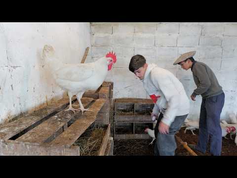 Fundación DAT - Escuela Agraria de Carlos Reyles - Manos al arado | Cura Juan Andrés "Gordo" Verde