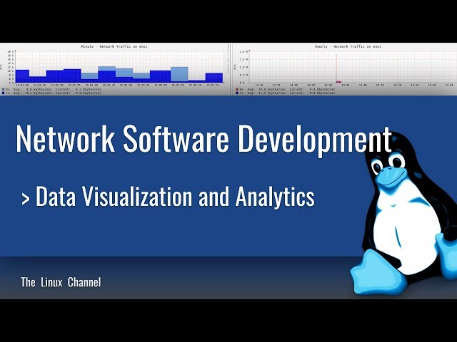 319 Networking Software Development - Data Visualization and Analytics