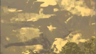 In the Fall (feat Katrina Ford) - Future Islands