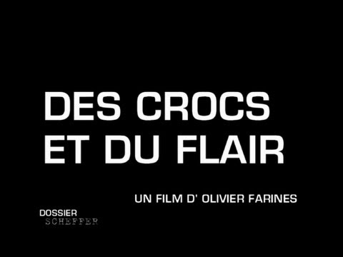 Dossier Scheffer - Des crocs et du flair