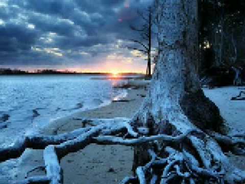 D- EMOTION PROJECT-PLANIMATA