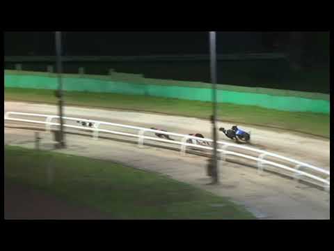 Newinn Buzz - Ladbrokes Puppy Derby (Heat 2)