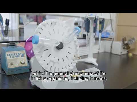 応用生物学課程 Research at Kyoto Institute of Technology Vol.15-- Assoc. Prof. TAKAKI Keiko