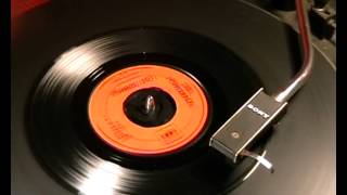 The Powerpack - Lost Summer - 1967 45rpm