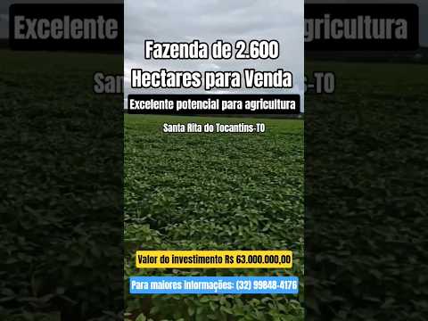 Fazenda para Venda na Região de Santa Rita do Tocantins to #tocantins #fazenda #agro