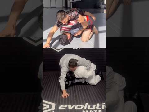 Armbar From Turtle