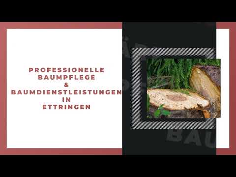 Baumpflege März YouTube-Vdeominiatur 2