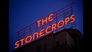 The Stonecrops- Hey Hey, My My