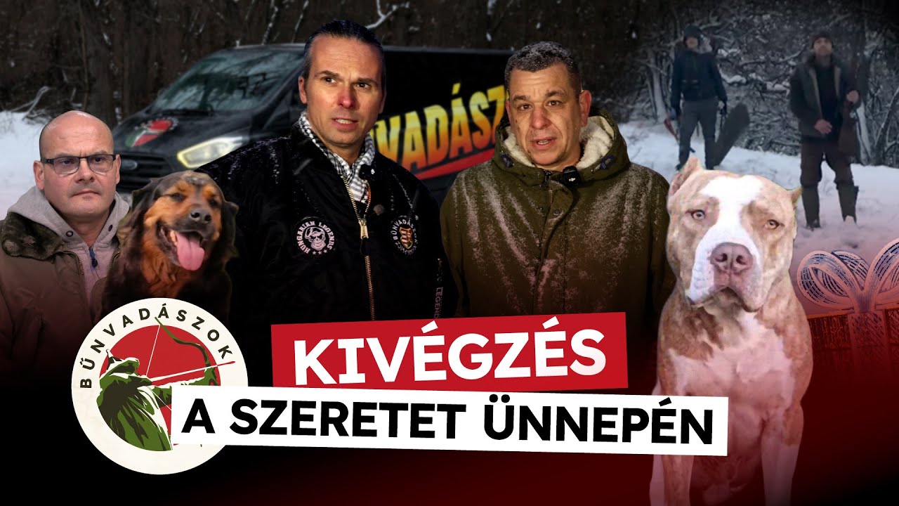 Kivégzés a szeretet ünnepén - Bűnvadászok Állatvédelmi Akciócsoport. Első rész.