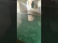 channel