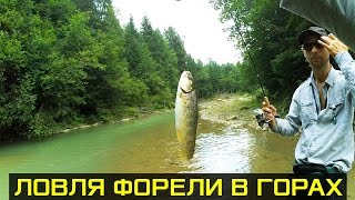 Китайский способ ловли карпати