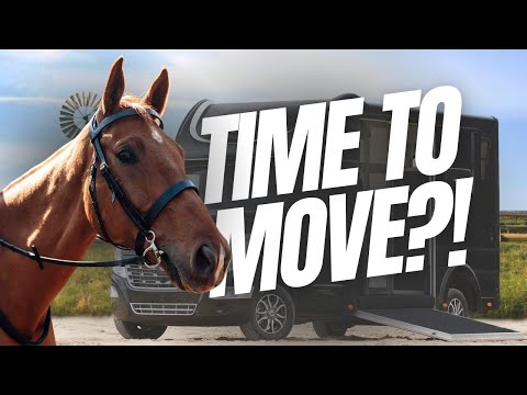 A New Home for Basil 🐴 🏡... but is it with me?