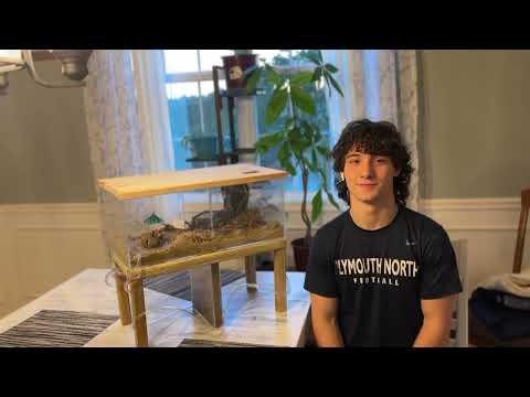 Instructable Ant Farm by Oliver Enokian