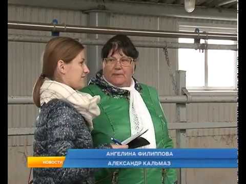 На что тратят бюджетные деньги курские фермеры?