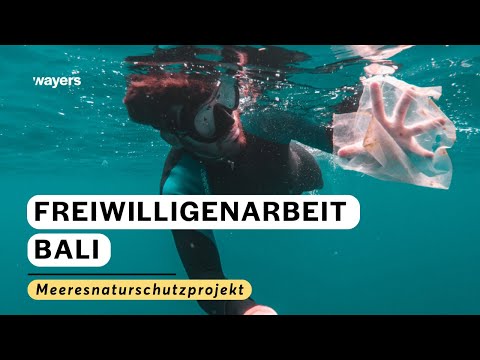 Meeresnaturschutz auf Bali | baue künstliche Korallenriffe | Freiwilligenarbeit auf Bali