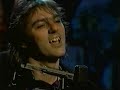Robyn Hitchcock - The Yip Song (Live MTV)