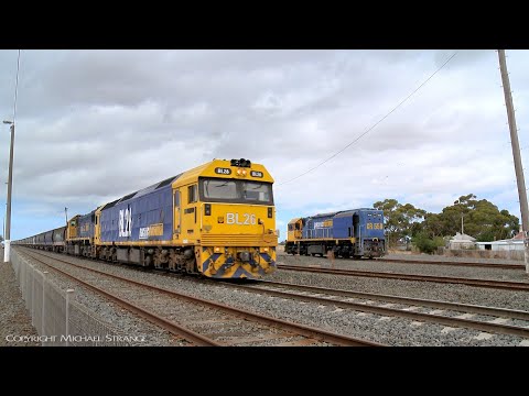 7737V Pacific National Grain Train With BL26 & X50 (18/3/2019) - PoathTV Australian Railways
